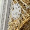 Сламен изолационен панел Agratherm за строителство